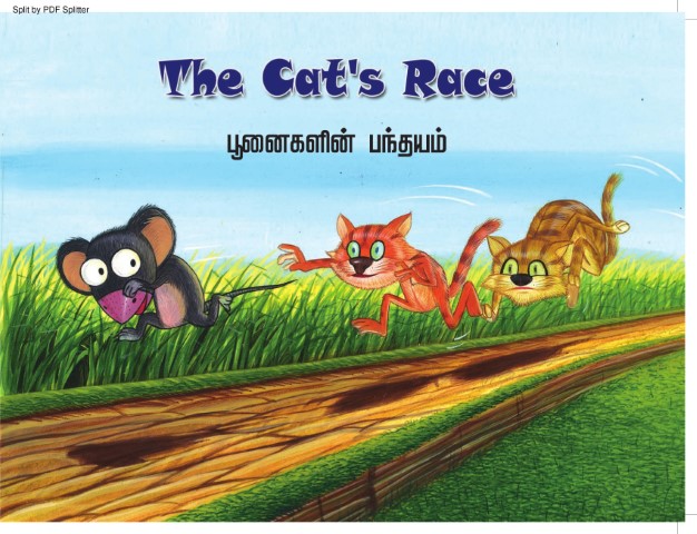 The Cat's Race